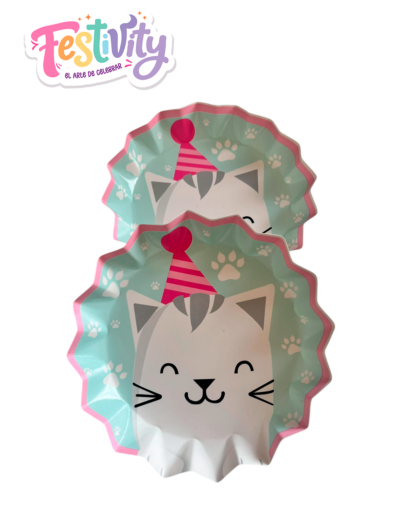 Plato Estrella Gato